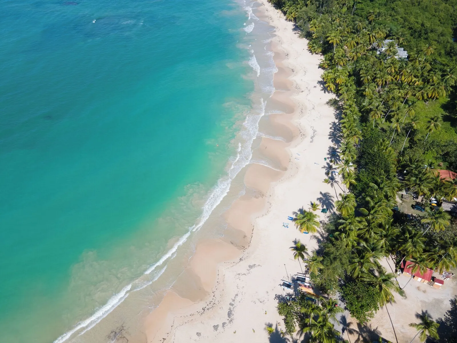 A palm-lined beach in the area, shown in Chill Boutique Hotel's destination photo gallery